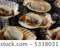 Scallop  5338031