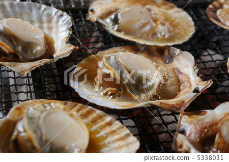 Scallop Scallop 5338031