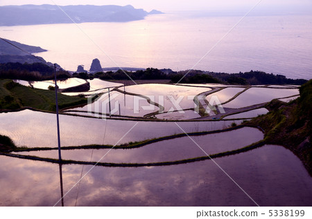 大通Toho田野和水稻露台的晚上風景 大通Toho田野和水稻露台的晚上風景 5338199