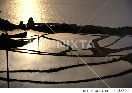 大通Toho田野和水稻露台的晚上風景 大通Toho田野和水稻露台的晚上風景 5338203