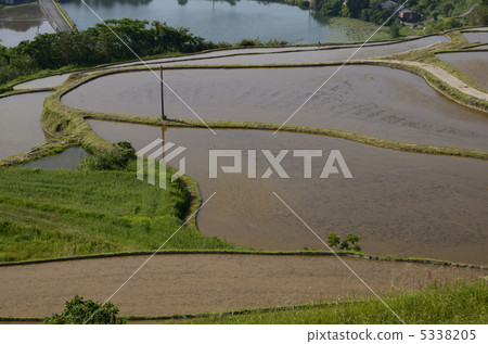 Tohoda場稻米露台 Tohoda場稻米露台 5338205