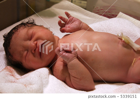 出生後立即 5339151