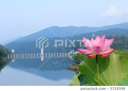 Enakyo Enakyo 5339399