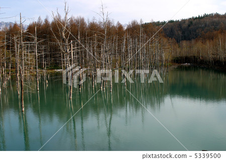 藍塘 藍塘 5339500