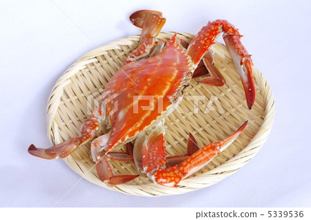 Boiled crayfish Boiled crayfish 5339536