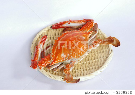 Boiled crayfish 5339538