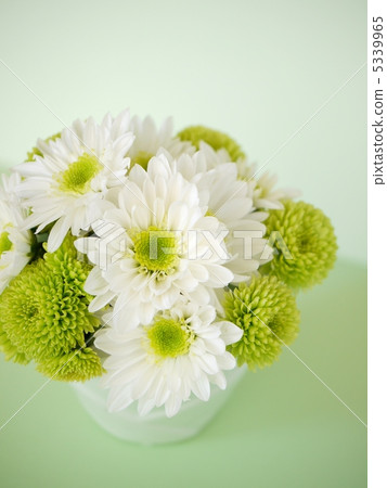 綠色媽媽和白媽媽的安排（垂直圖像） 5339965