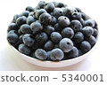 blueberry 5340001