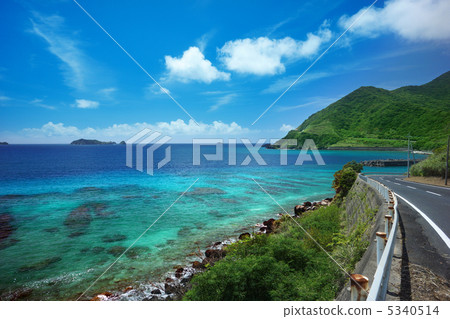 美麗而壯麗的珊瑚礁 5340514