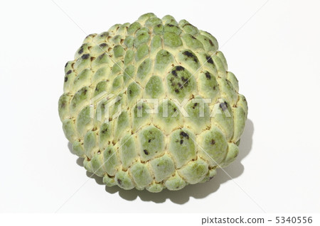 Shakatoe泰國 5340556