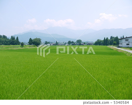 Uonuma的農村風景 5340584