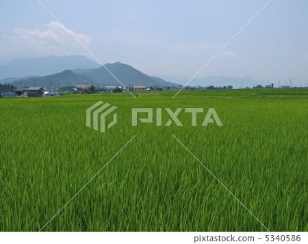 Uonuma的農村風景 5340586