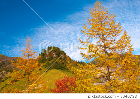 Autumn scenery Autumn scenery 5340758