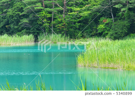 Fukushima Kitashiobara Village Goryukinuma Bentenmauma 5340899