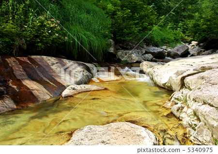 秋田北秋田市中之島谷 5340975