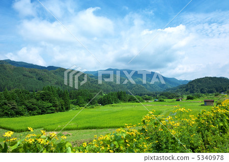 Yakimori Akita Hachimantocho 5340978