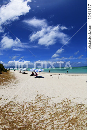 Condoi Beach in Taketomi-jima Island, Okinawa 5341137