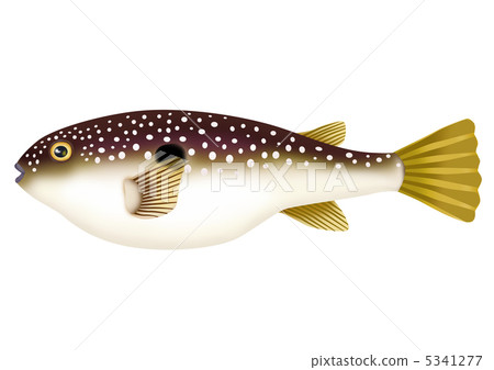 庫薩福格 庫薩福格 5341277