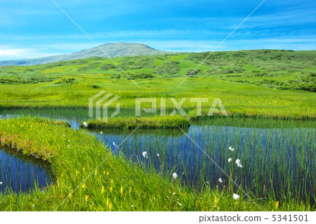 Yamagata Shonai Town Tsukiyama Midagahara Yamagata Shonai Town Tsukiyama Midagahara 5341501