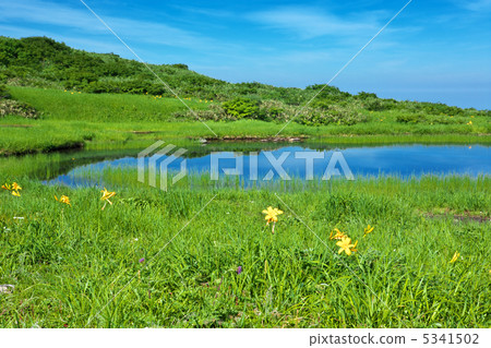 Yamagata Shonai Town Tsukiyama Midagahara 5341502