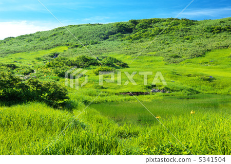 Yamagata Shonai Town Tsukiyama Midagahara 5341504
