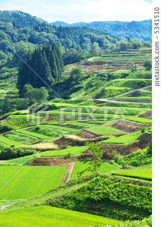 Yamagata Okura Village四村露台 Yamagata Okura Village四村露台 5341510