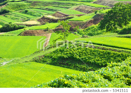 Yamagata Okura Village四村露台 5341511