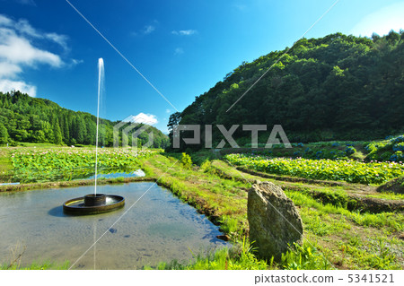 山形Obzarazawa市水上公園 5341521