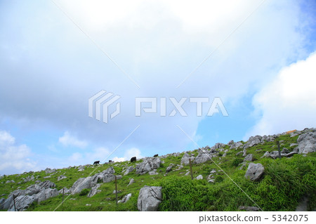 Tiankogen Tiankogen 5342075