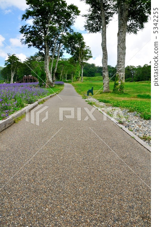 無盡的道路 5342255