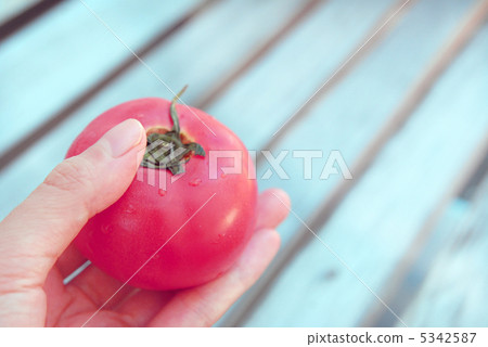 A delicious red tomato 5342587