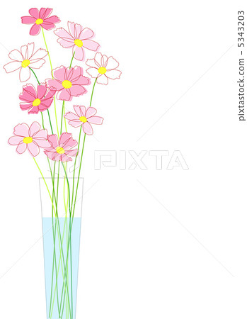 Cosmos 5343203