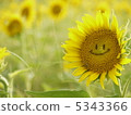 笑的向日葵 5343366