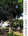 A rest 5344083