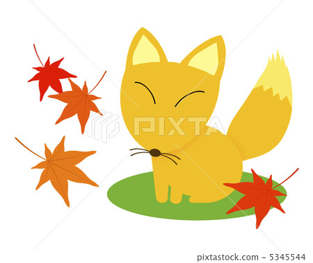 狐狸 狐狸 5345544