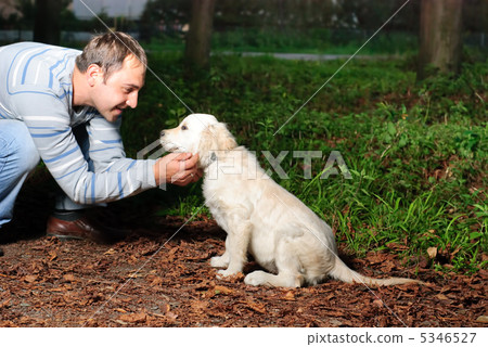 Golden retriever and man in park 5346527