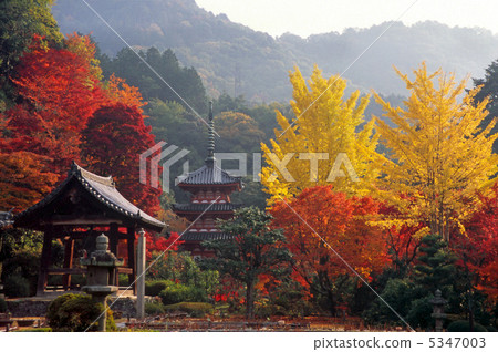 Fall of Kyoto Mie Muroto Temple 5347003