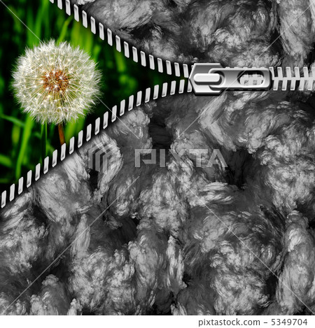 dandelion in the grass and zipper 5349704
