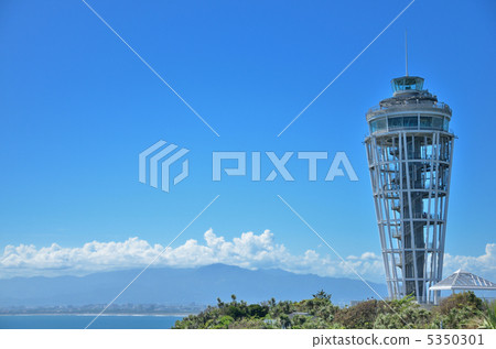江之島海蠟燭 江之島海蠟燭 5350301