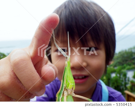 Shorurata(蚱蜢)和孩子 Shorurata(蚱蜢)和孩子 5350415