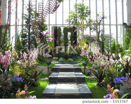 Greenhouse flowers 5353767