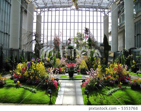 Greenhouse flowers 5353768