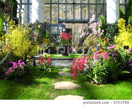 Greenhouse flowers 5353769