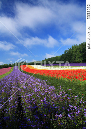 Nakafurano的花園 5353932