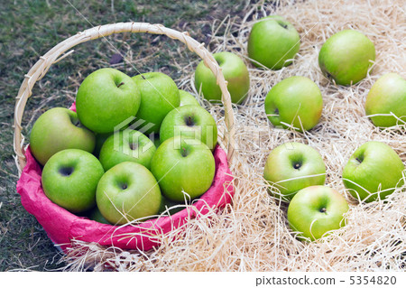 juicy green apples in basket 5354820