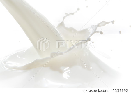 milk splash milk splash 5355192