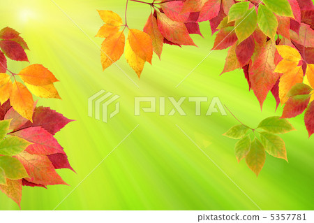 autumn leaves 5357781