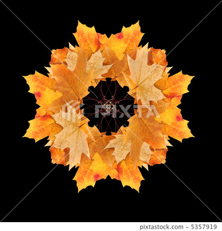 十月 10月 成長 5357919