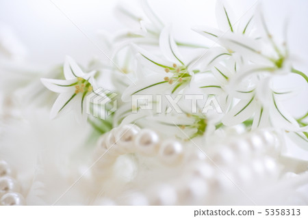 White allium flower and pearl necklace White allium flower and pearl necklace 5358313