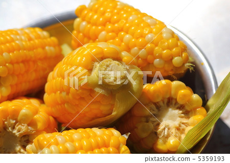 Corn 6 5359193